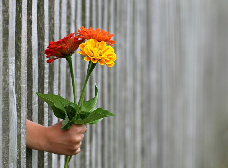 facing mother's day without mum.